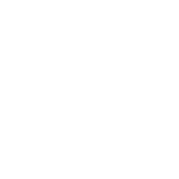 Gaijin